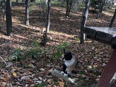 -六鼎山文化旅游区