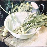 🌵一组超写实的水彩静物绘画步骤！