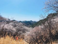 -蟠龙山长城景区