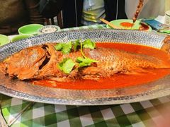 黄河大鲤鱼-胡杨记忆(和平路店)