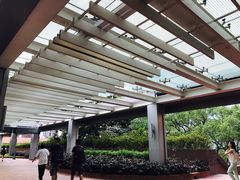 -香港大学