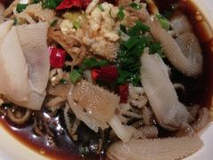 热炝双脆-佬肥猫(国华广场店)