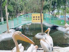-水上乐园·欢乐世界