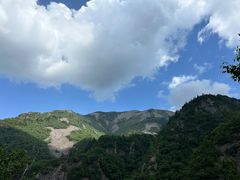 -朱雀国家森林公园