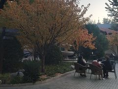 -静园(和平区)