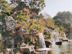 -顺峰山公园