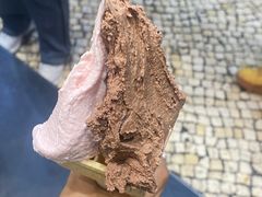 -柠檬车露(卖草地店)