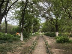 -永定河休闲森林公园