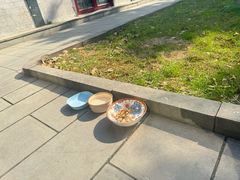 -护国法轮寺