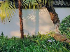 -望江楼公园