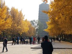 -玲珑塔公园