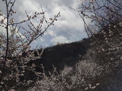 -北京鹫峰国家森林公园