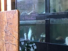 -天正河鲀·河豚亭(大连店)