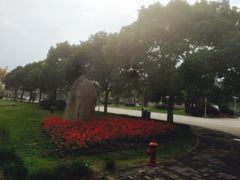 -上海第二工业大学(金海路校区)