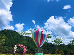 -广州白江湖森林公园