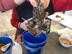 鲜活鲍鱼-澜悦港海鲜体验主题餐厅