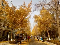 -北京化工大学(东校区)