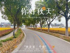 -莲花岛景区