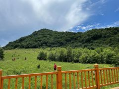 -白草畔自然风景区