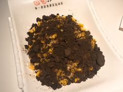 -鱼酷活鱼烤鱼(北美店)