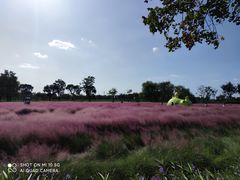 -嘉北郊野公园