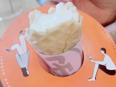 -野人先生现做冰淇淋(西安赛格店)