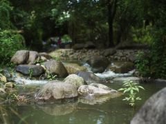 -新虹桥中心花园