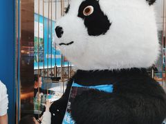 -半天妖烤鱼(蒸湘万达广场店)