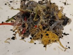 -夫妻肺片·老字号