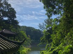 -火炉山森林公园