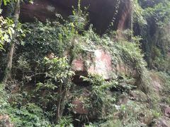-赤水丹霞旅游区·佛光岩