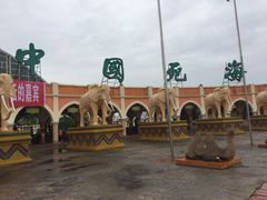 -中国死海旅游度假区