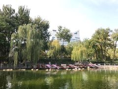 -莲湖公园