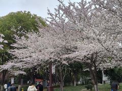 -堤角公园