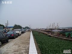 -大湾区中央湿地公园-十九涌