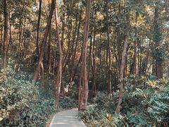-云溪植物园
