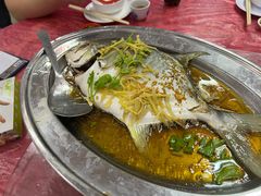 金枪鱼-新峰肉骨茶