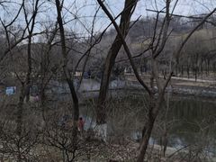-高尔山公园
