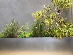 -Seesaw Coffee(杭州奥体印象城店)