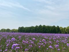 -山明水秀大饭店