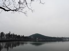 -武汉大学-樱园
