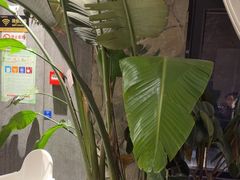 -陈熹公民族美食文化餐厅(中华广场店)