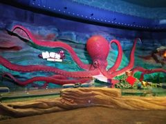 -青岛嘉年华主题乐园