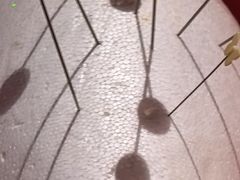 -Xcape异时刻密室逃脱魔法互动(瑞虹天地太阳宫店)