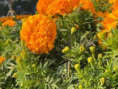 -OUR Bakery(SKP-S店)