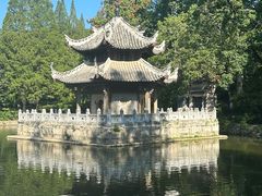 -习家池