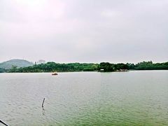 -百万葵园
