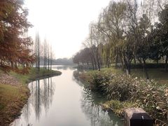 -尚贤河湿地