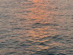 -演武大桥观景平台