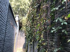 -白洋淀景区